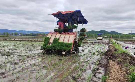 紙刊_副本.png 紙刊_副本.png