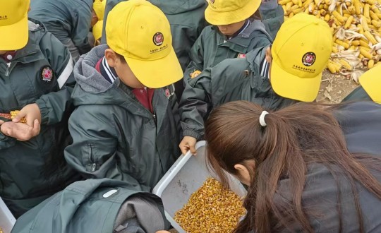 24.紙質(zhì)刊用_副本.jpg 24.紙質(zhì)刊用_副本.jpg